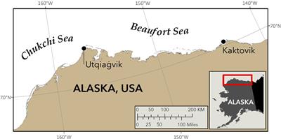 Determination of polar bear (Ursus maritimus) individual genotype and sex based on DNA extracted from paw-prints in snow